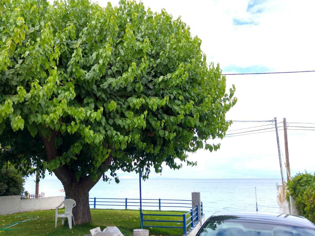 Papadogiannopoulos House Egio Exterior foto
